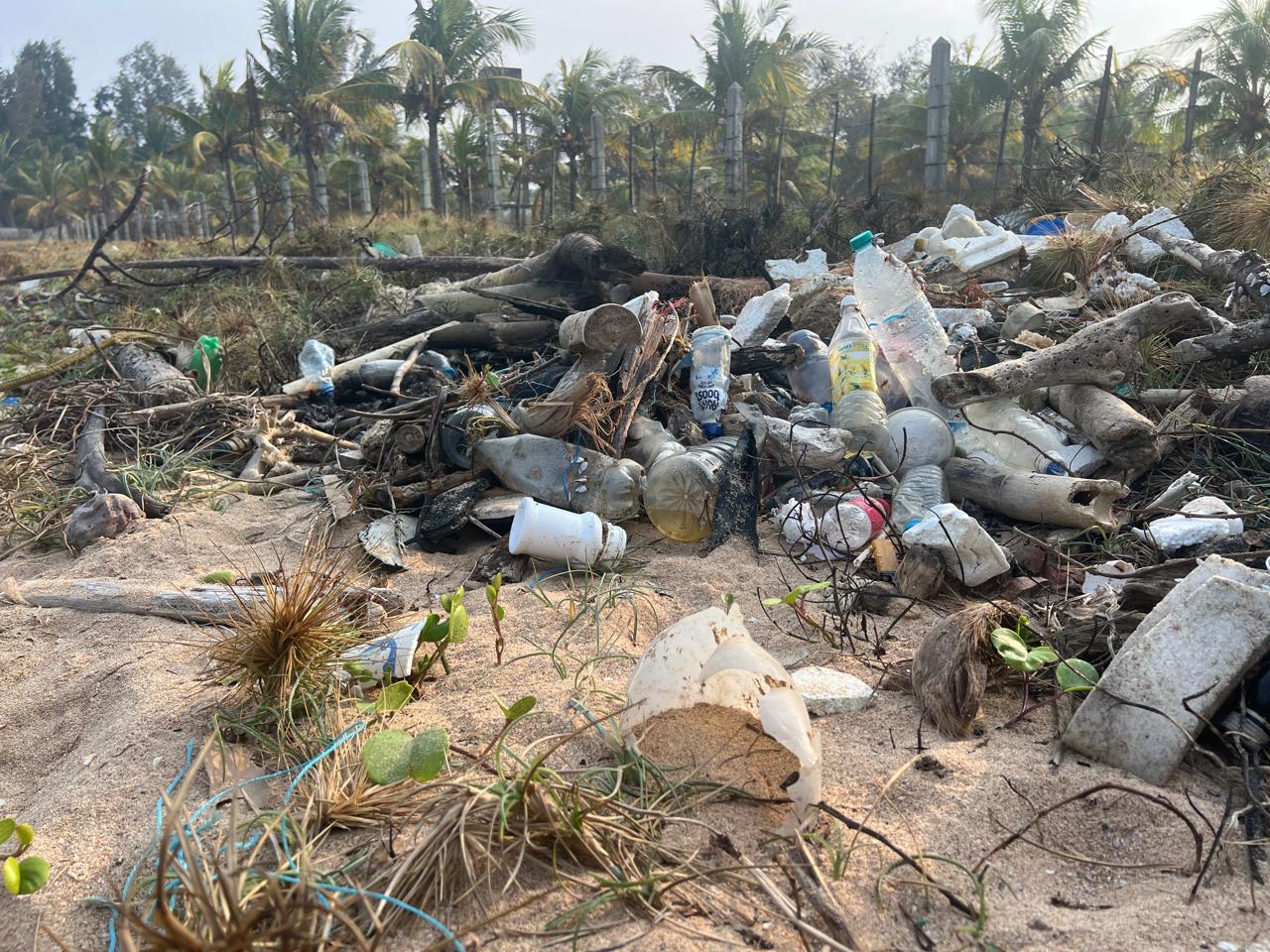 Annual cultural excursion image 2